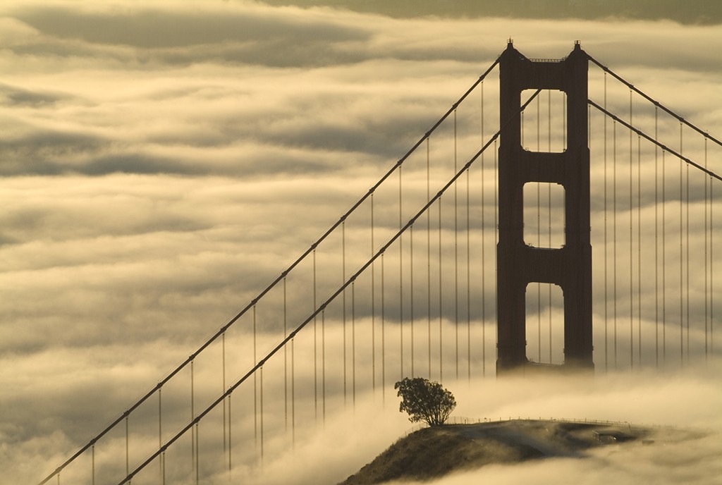 golden gate bridge in fog by Sarka Holeckova