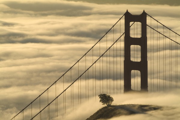 golden gate bridge in fog by Sarka Holeckova