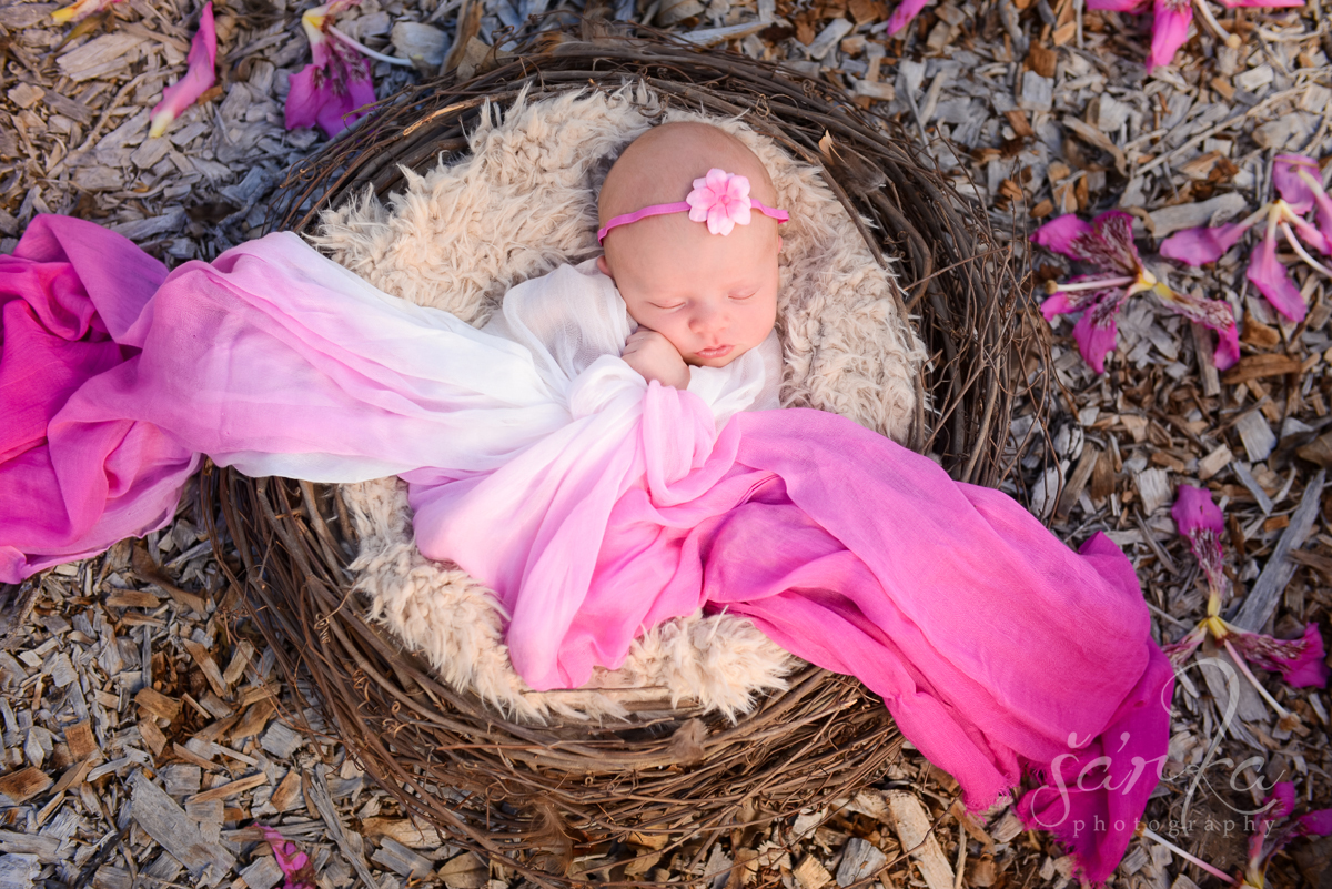 newborn baby girl sleeping in a nest photographed by Santa Barbara newborn photographer Sarka Photography Studio
