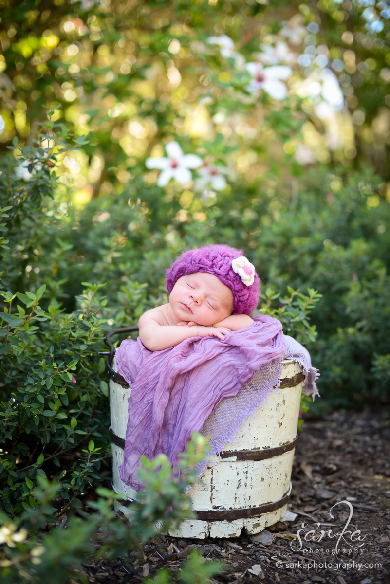 newborn baby girl sleeping in a vintage wood bucket photographed by Santa Barbara newborn photographer Sarka Photography Studio