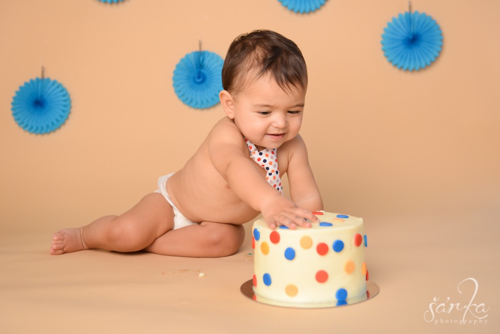 one your old boy cake smash photo session by San Francisco Bay Area and Santa Barbara baby photographer Sarka Photography