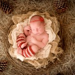 newborn baby girl sleeping in a nest photographed by San Francisco Bay Area and Santa Barbara baby photographer Sarka Photography