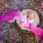 newborn baby girl sleeping in a nest photographed by San Francisco Bay Area and Santa Barbara baby photographer Sarka Photography