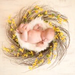 newborn baby girl sleeping in a nest photographed by San Francisco Bay Area and Santa Barbara baby photographer Sarka Photography