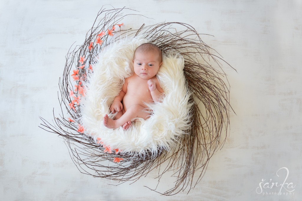 newborn baby girl in a nest photographed by San Francisco Bay Area photographer Sarka Photography