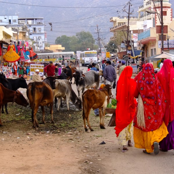 street scene in Pushkar India photographed by Sarka Photography