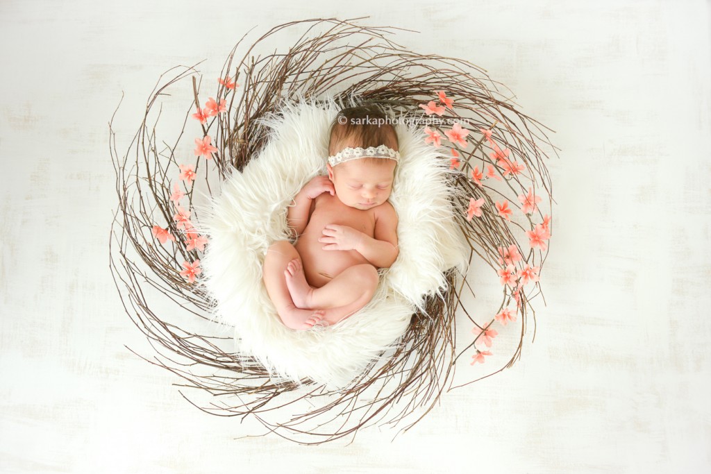 newborn baby sleeping in a nest photographed by San Francisco Bay area and Santa Barbara baby photographer Sarka Photography