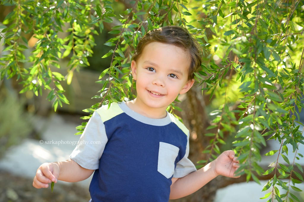 young boy peeking through a pepper tree photographed by Bay Area family photographer Sarka Photography