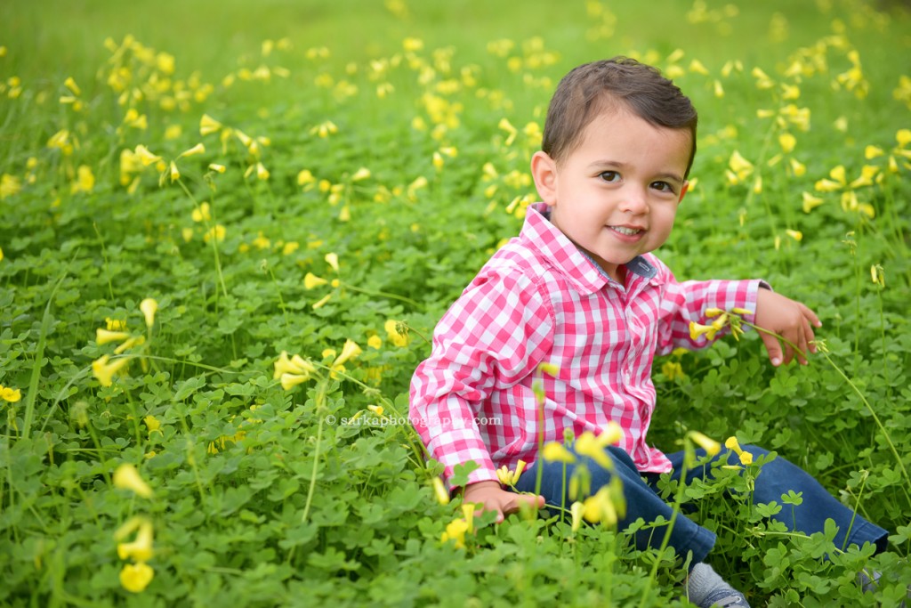 two year old boy sitting in a flower field in the spring photographed by San Mateo and Bay area family photographer Sarka