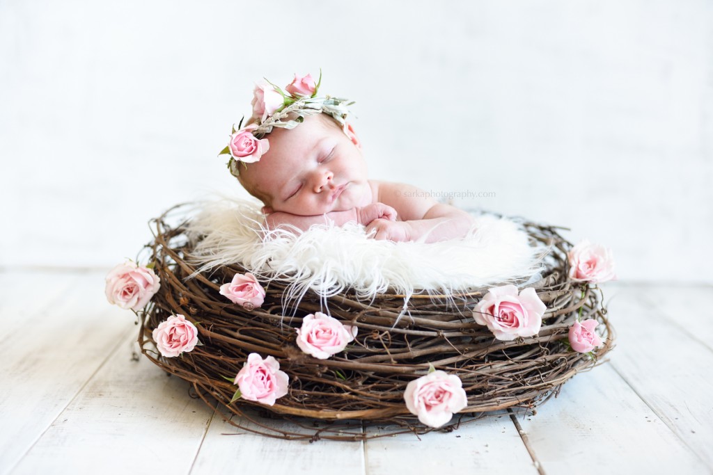 newborn baby girl sleeping in a birds nest wearing a rose flower crown photographed by Santa Barbara Montecito newborn and baby photographer Sarka photography