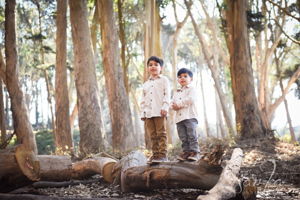 brothers playing and hugging in the presidio during their photo session by sarkaphotography