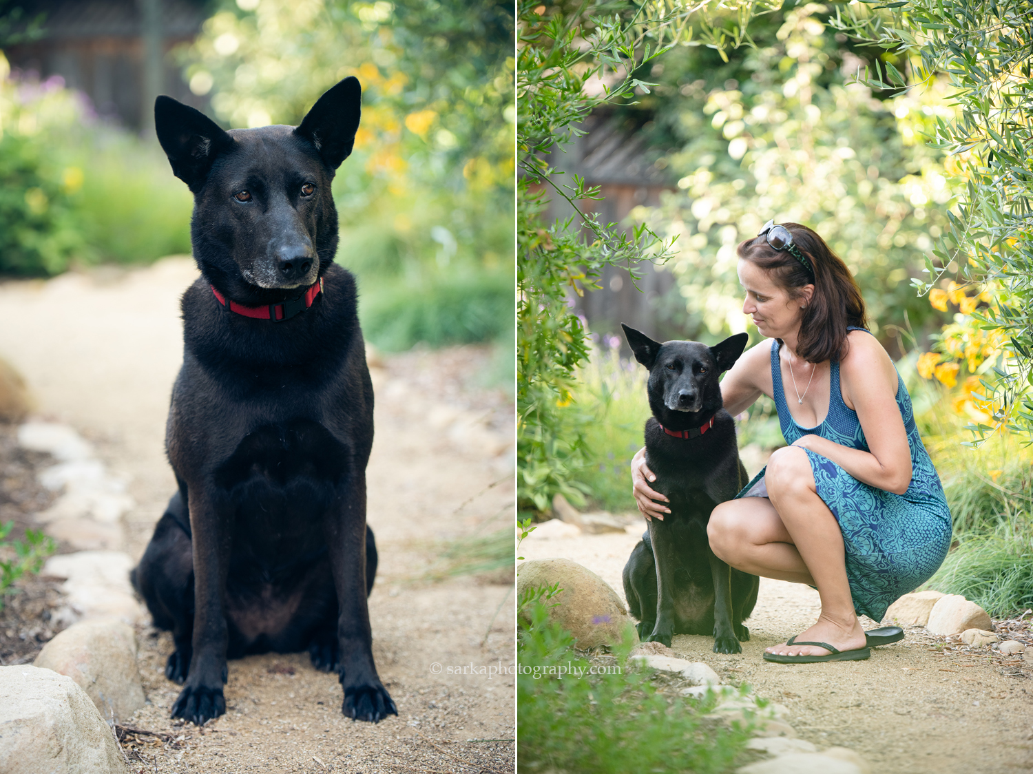 Montecito pet portrait with her owner 