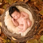 newborn baby boy sleeping in a nest photographed by San Francisco Bay Area and Santa Barbara baby photographer Sarka Photography