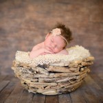newborn baby girl sleeping in a driftwood bowl photographed by San Francisco Bay Area and Santa Barbara baby photographer Sarka Photography