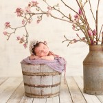 newborn baby sleeping in a wood bucket with a magnolia photographed by San Francisco Bay Area and Santa Barbara baby photographer Sarka Photography