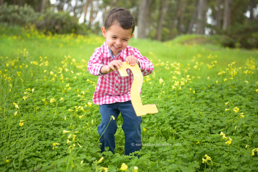 two year old boy in a flower field in the spring photographed by Santa Barbara family photographer Sarka